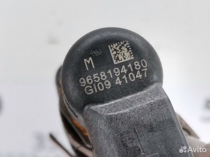 Форсунка для Peugeot-Citroen C4 Picasso 1