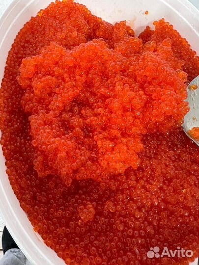 Красная икра форели