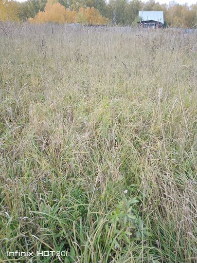 Участок 10 сот. (СНТ, ДНП)