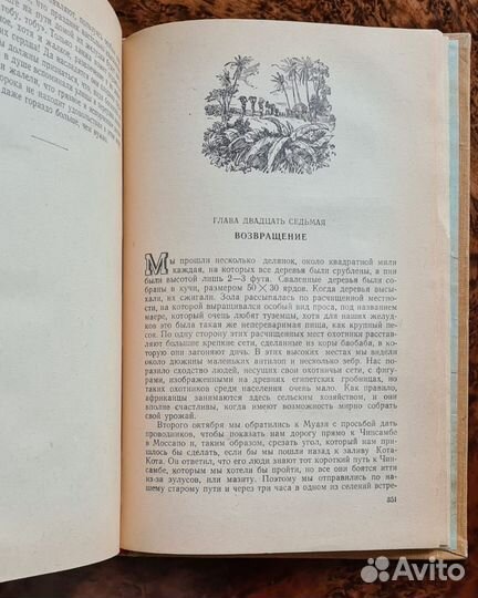 Ливингстон Путешествие Замбези. Андерсен в Швеции