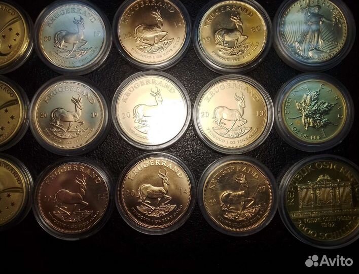 Оценка скупка выкуп монет экспертиза покупка клады