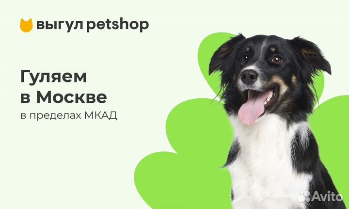 Выгул животных Petshop в Москве