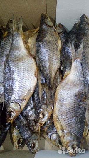 Плотва вяленая