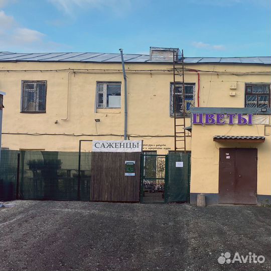 Саженцы и Рассада