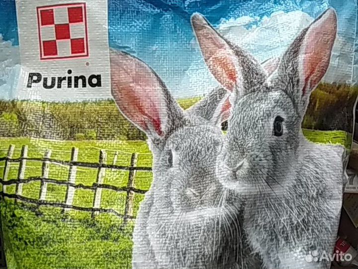 Лучший комбикорм для кроликов, морских свинок