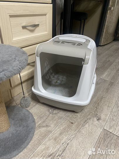 Переноска,лоток,туалет,когтеточка