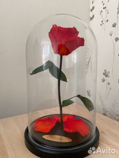 Роза в колбе
