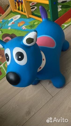 Собака попрыгун