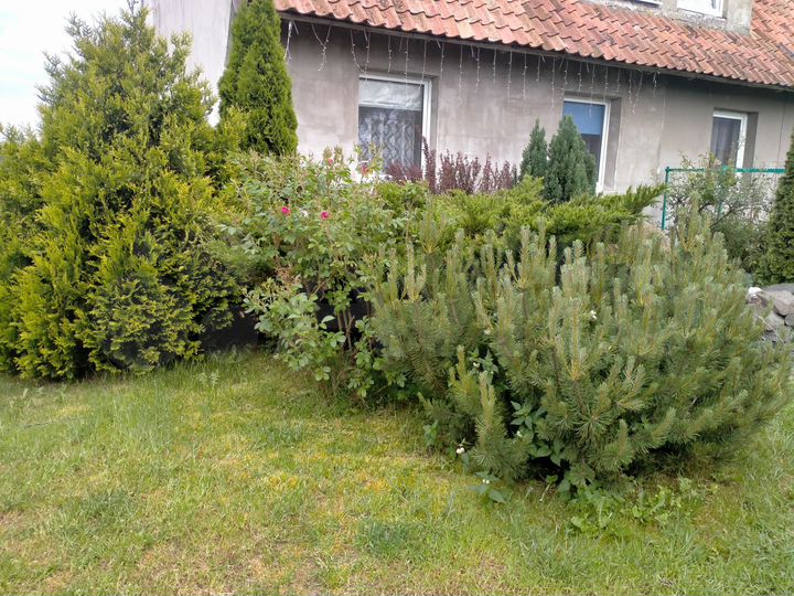 4-к. квартира, 60,9 м², 1/2 эт.