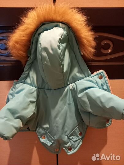 Одежда на мини собачку