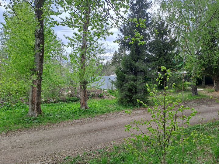 Участок 12,5 сот. (ИЖС)