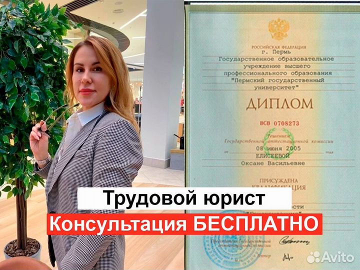 Юрист по трудовым спорам, трудовой юрист