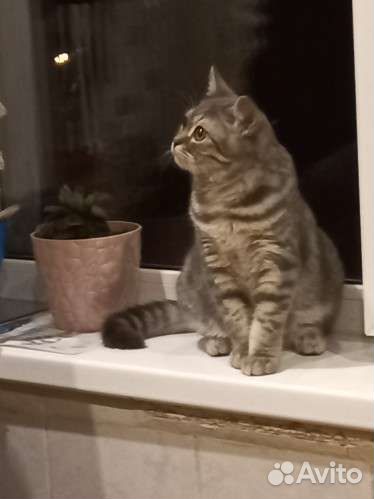 Праздники и мероприятия