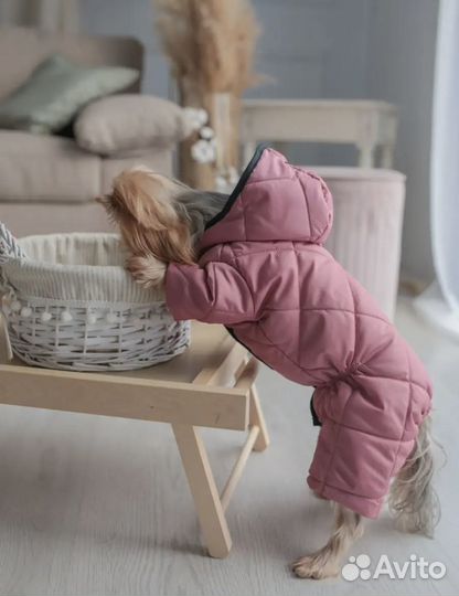 Комбинезон для собаки