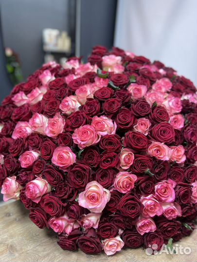 Букет из 201 розы