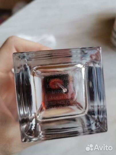 Dolce gabbana the only one