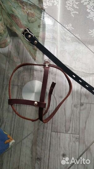 Ошейник для собак