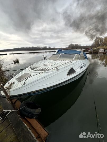 Катер Николь Фаворит