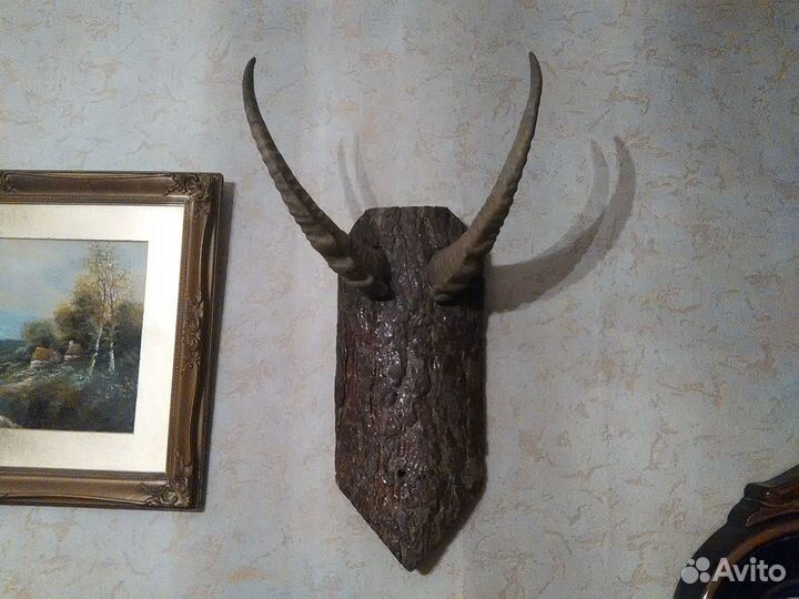 Декоративное панно - Рога
