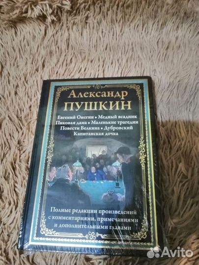 Книга Пушкин сзкэо