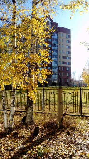 1-к. квартира, 42,3 м², 4/9 эт.