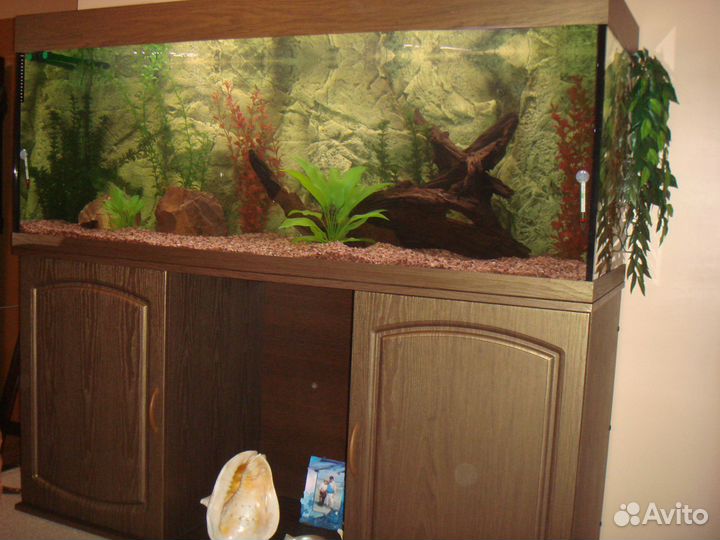 Аквариум 440 литров с тумбой