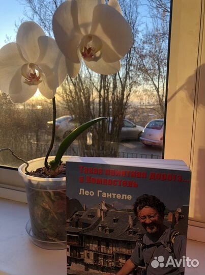 Такая приятная дорога в Компостель