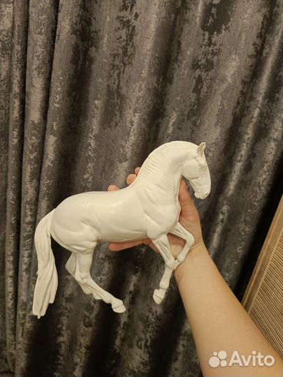 Гальего трад Anky