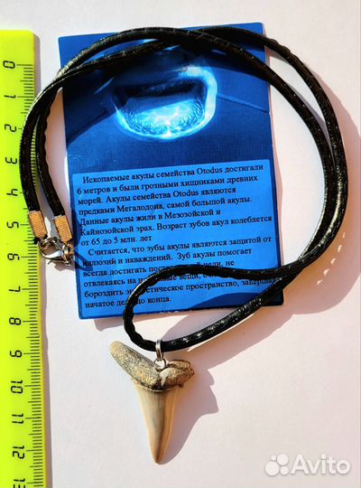 Зуб акулы Otodus, подвеска