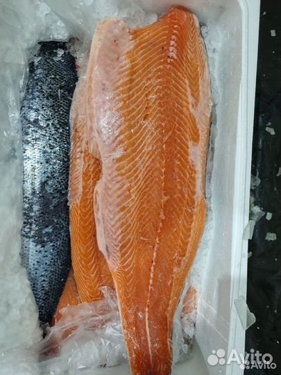 Продукты питания