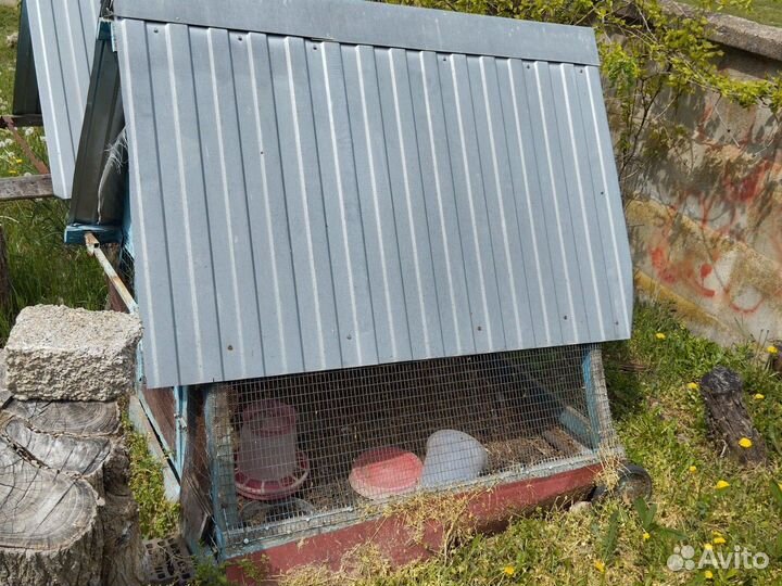 Домик для птицы