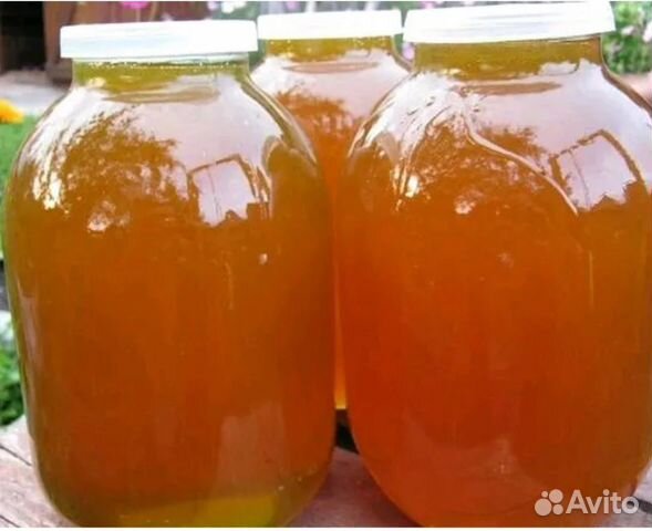 Продаю Мёд