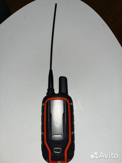 Garmin alpha 100