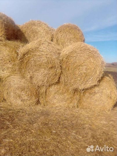 Ячменная солома.Доставка есть
