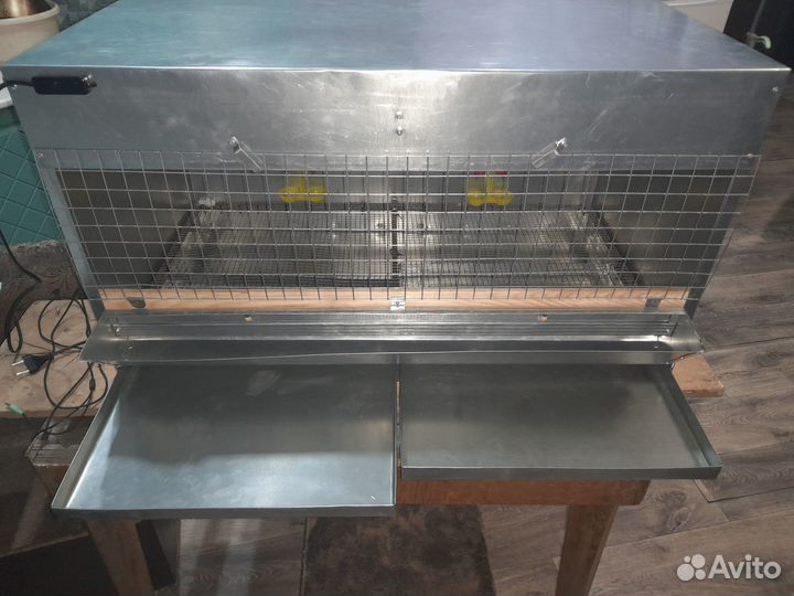 Брудер для цыплят