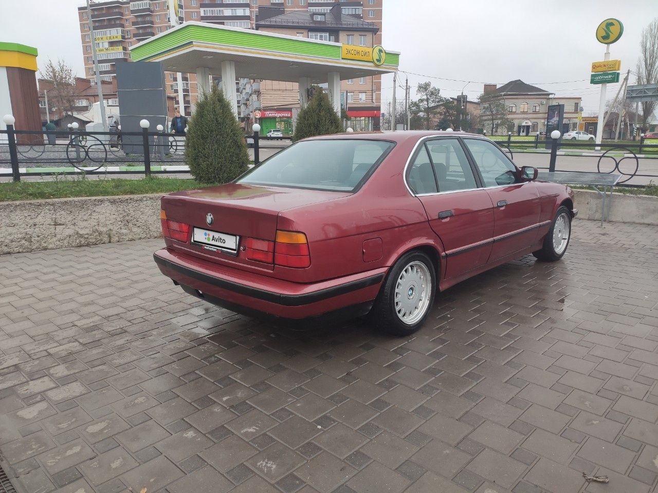 BMW 5 серия: фото владельца