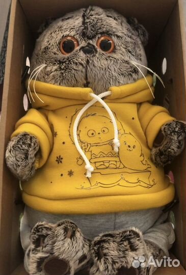 Кот басик новый