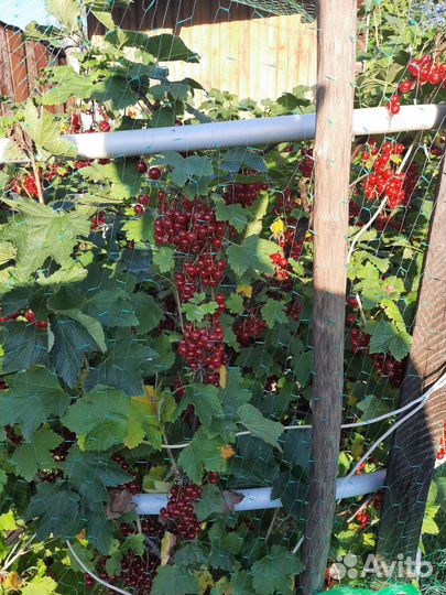 Продаю свое