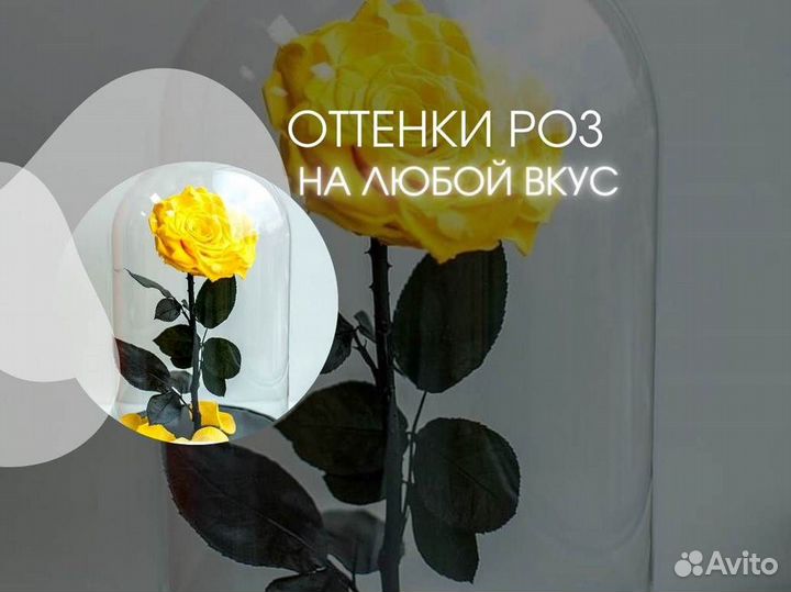 Розы в колбе любые