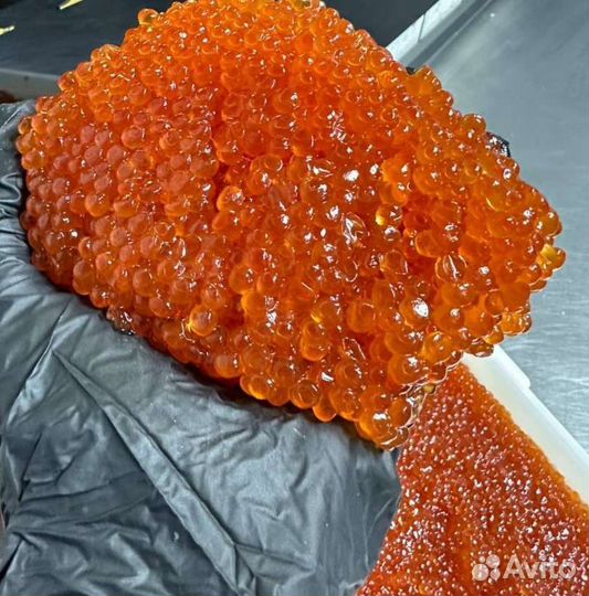 Икра горбуши, форели