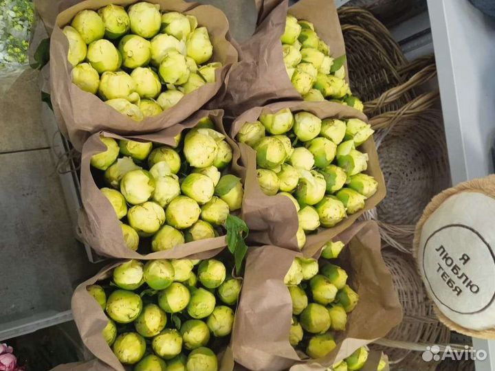 Доставка цветов пионы