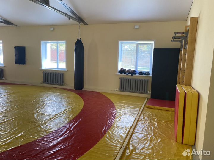 Почасовая аренда игрового зала и зала борьбы