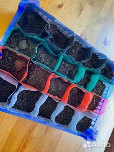 Пакеты для рассады 0,6 литра