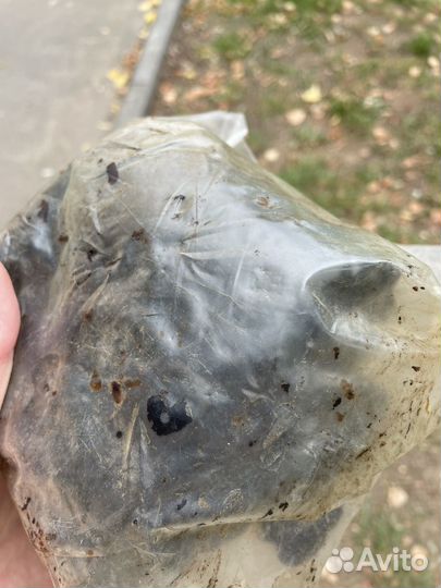 Озокерит горный воск