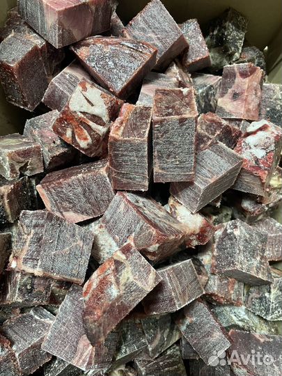 Корм для собак и кошек