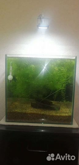 Аквариум