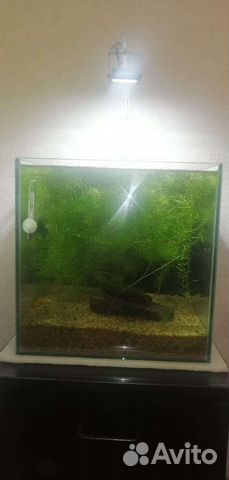 Аквариум