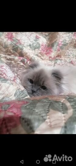 Мой мальчик потерялся