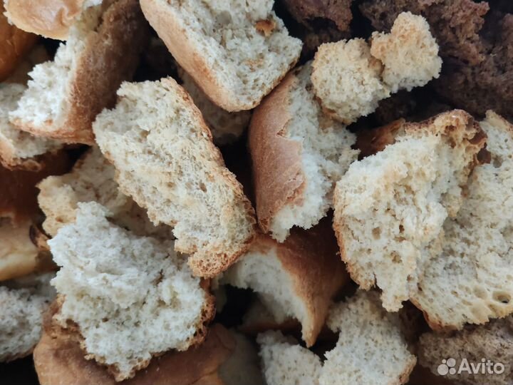 Кормовые сухари