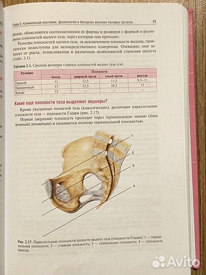 Акушерство Радзинский